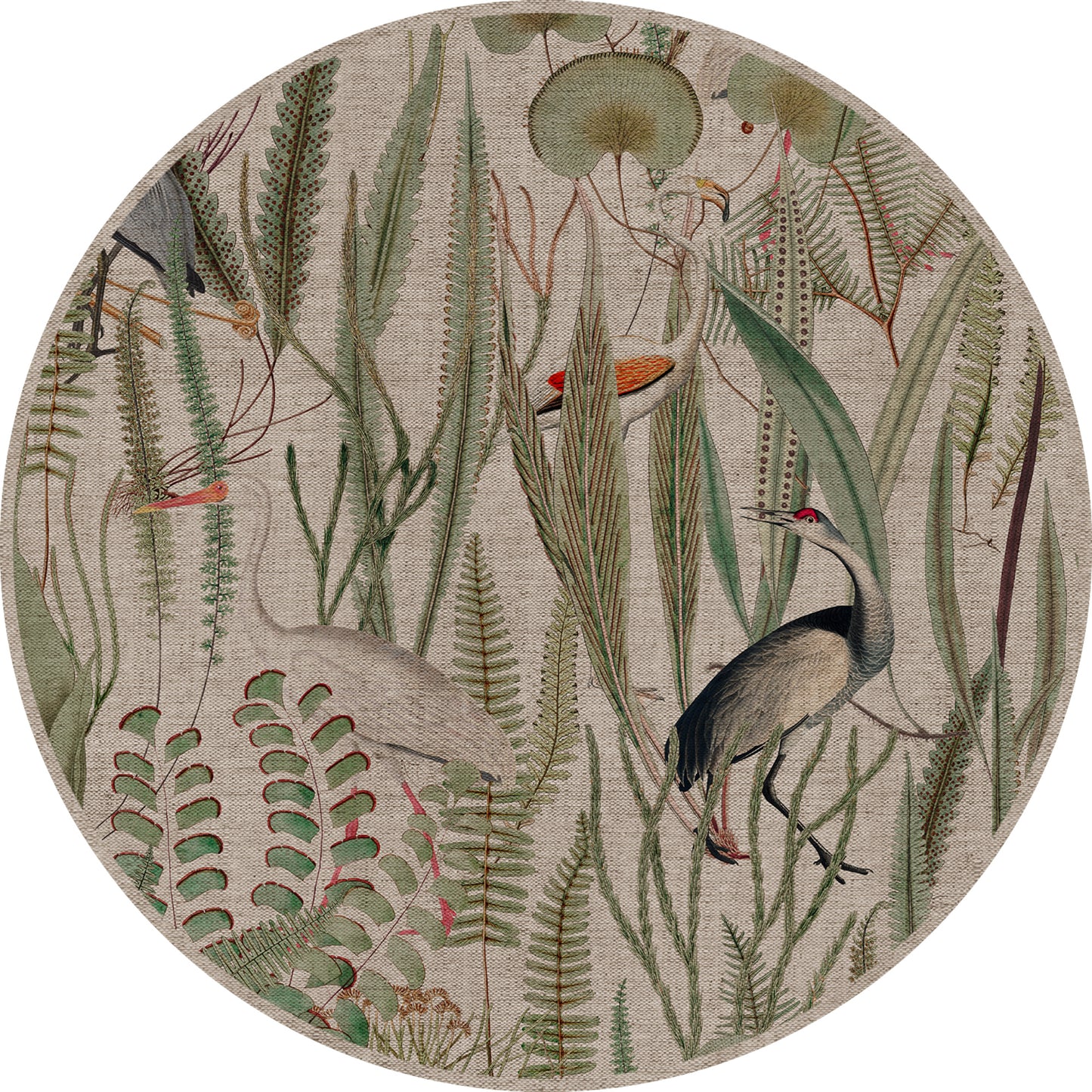 oiseaux verts
