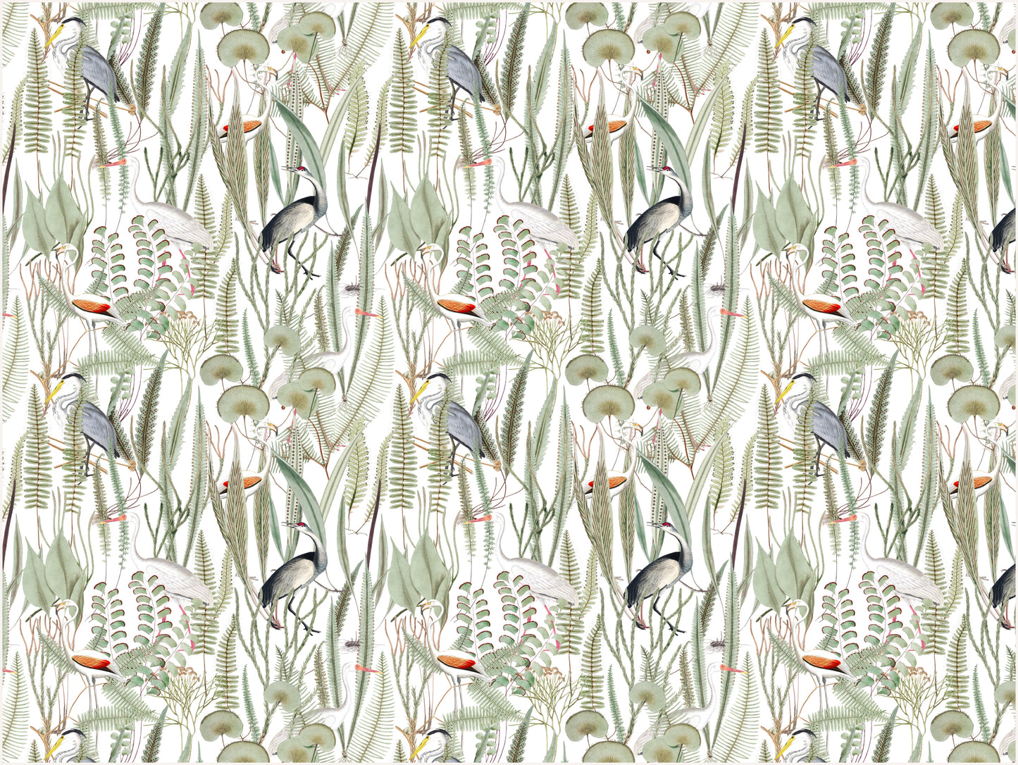 oiseaux au paradis