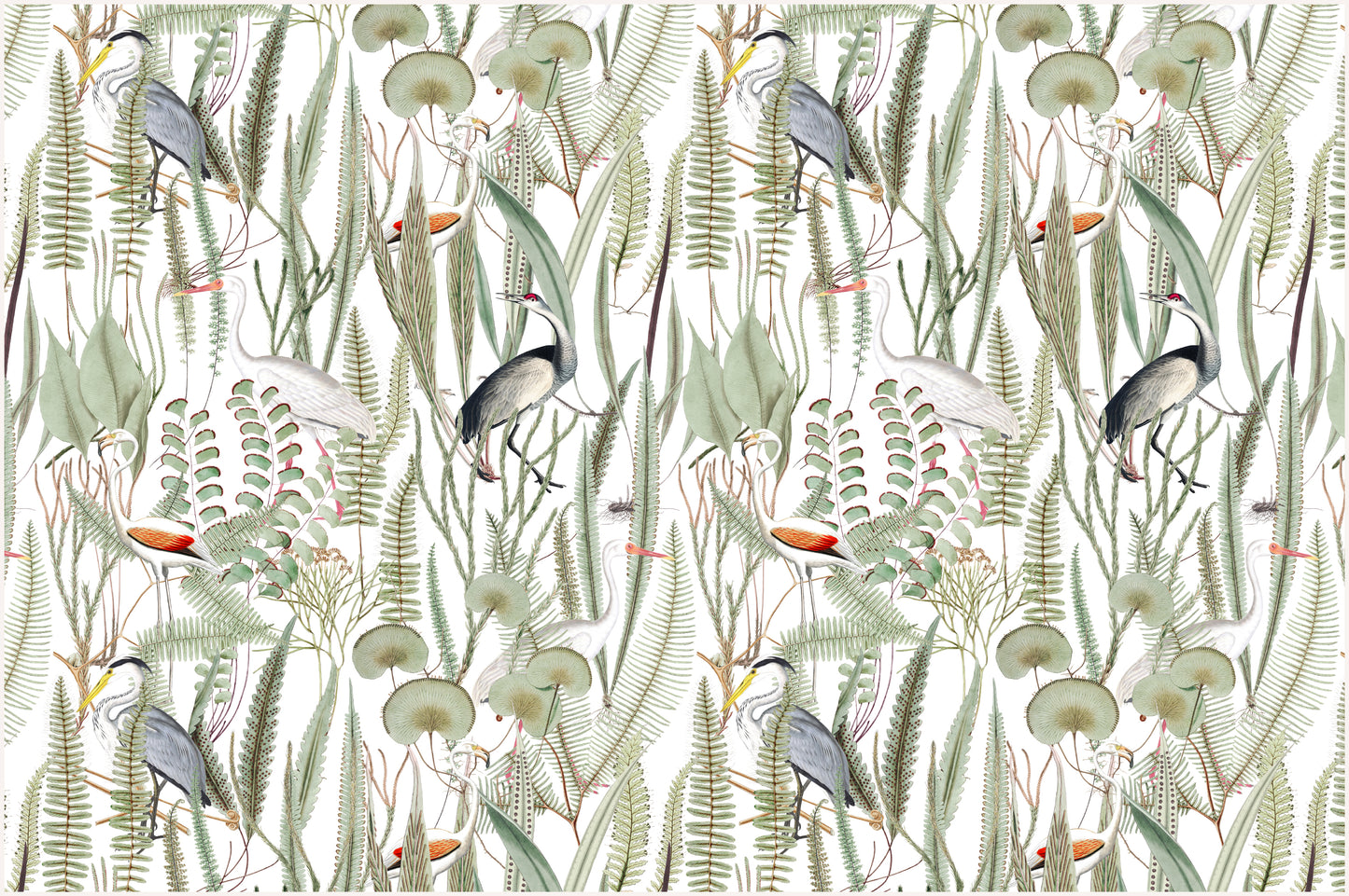 oiseaux au paradis