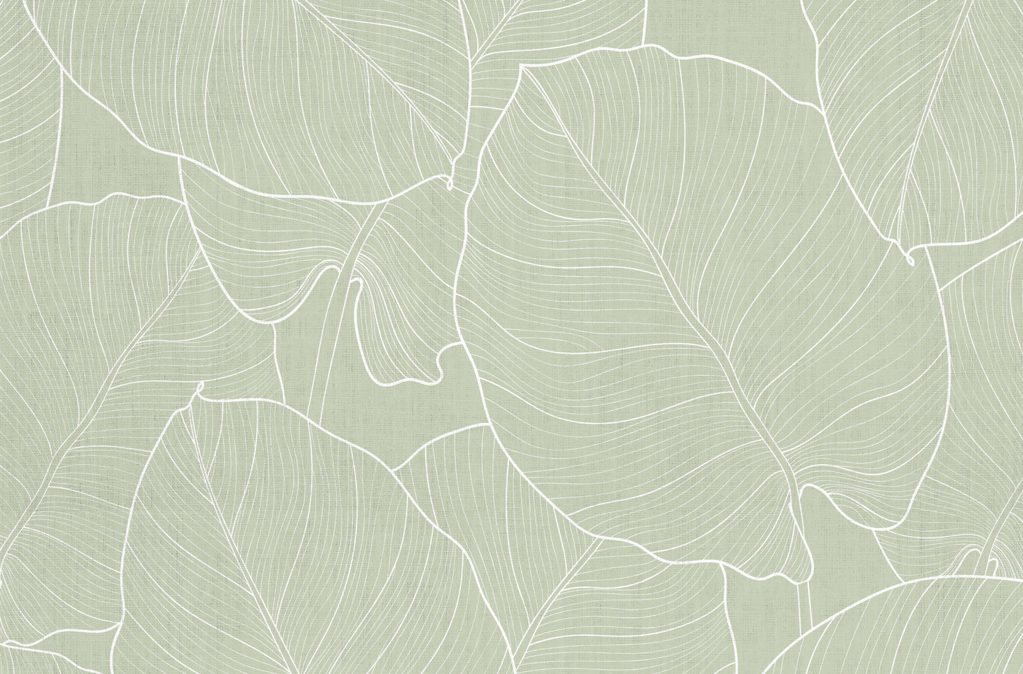 feuilles vertes