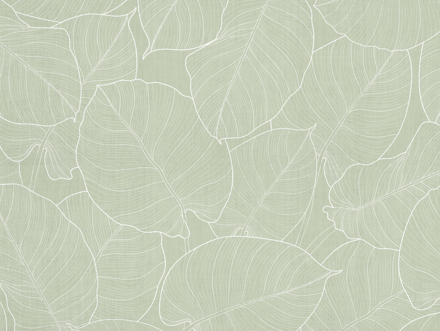 feuilles vertes