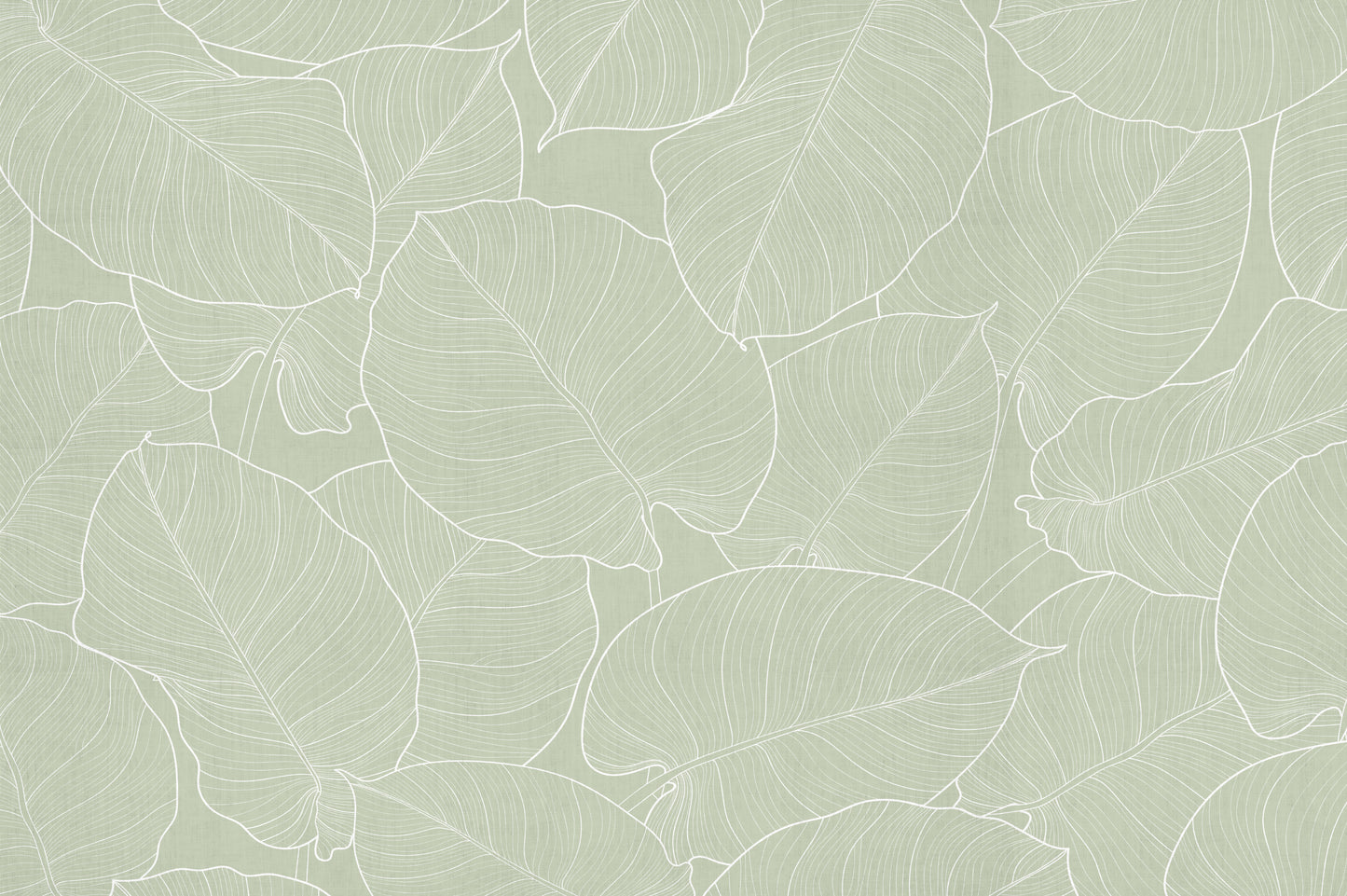 feuilles vertes