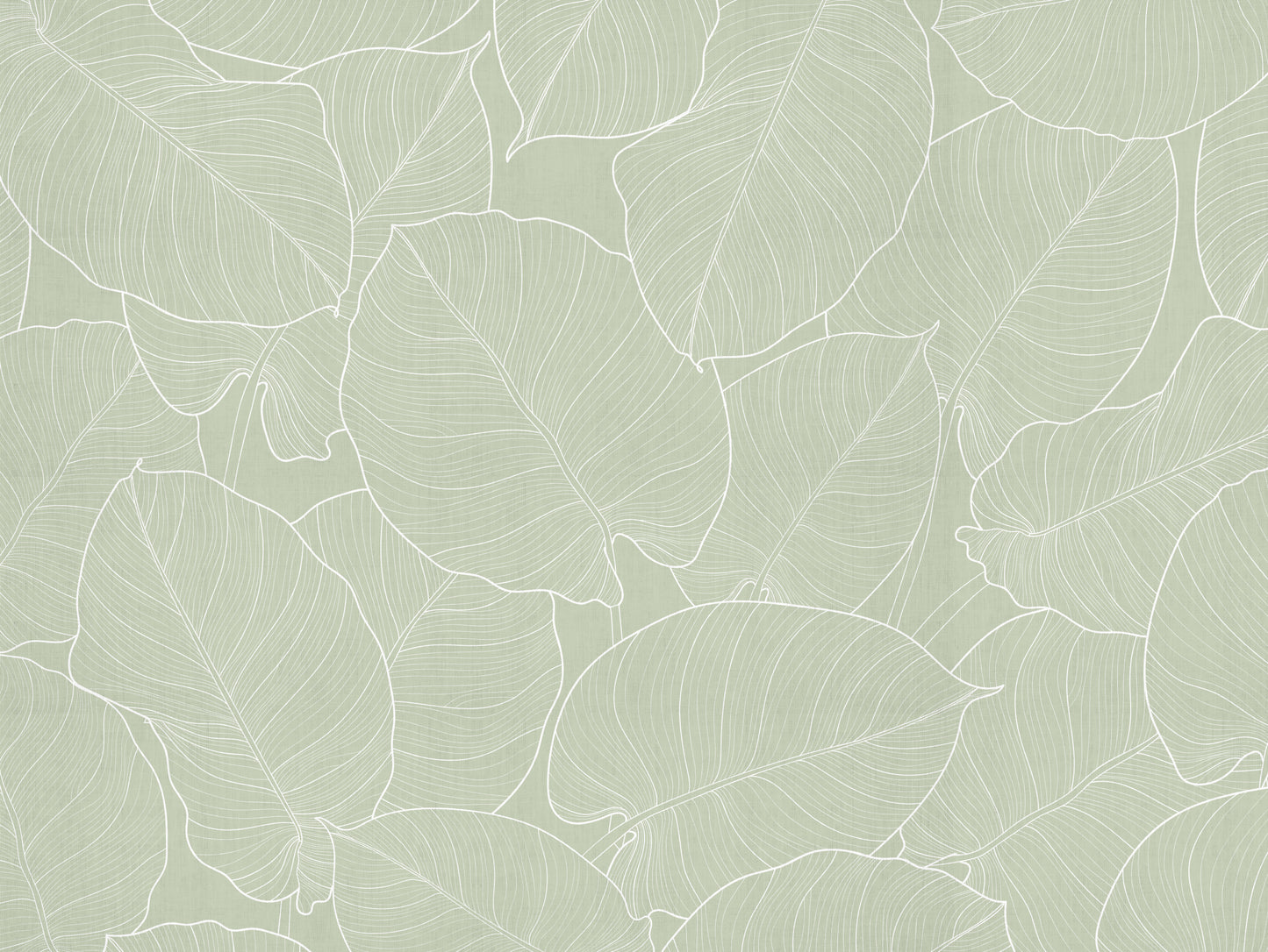 feuilles vertes