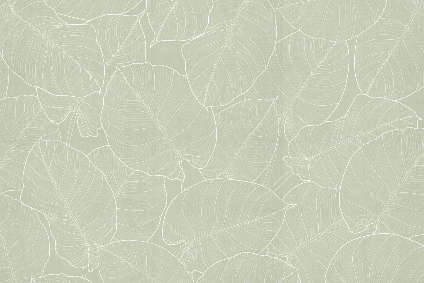 feuilles vertes