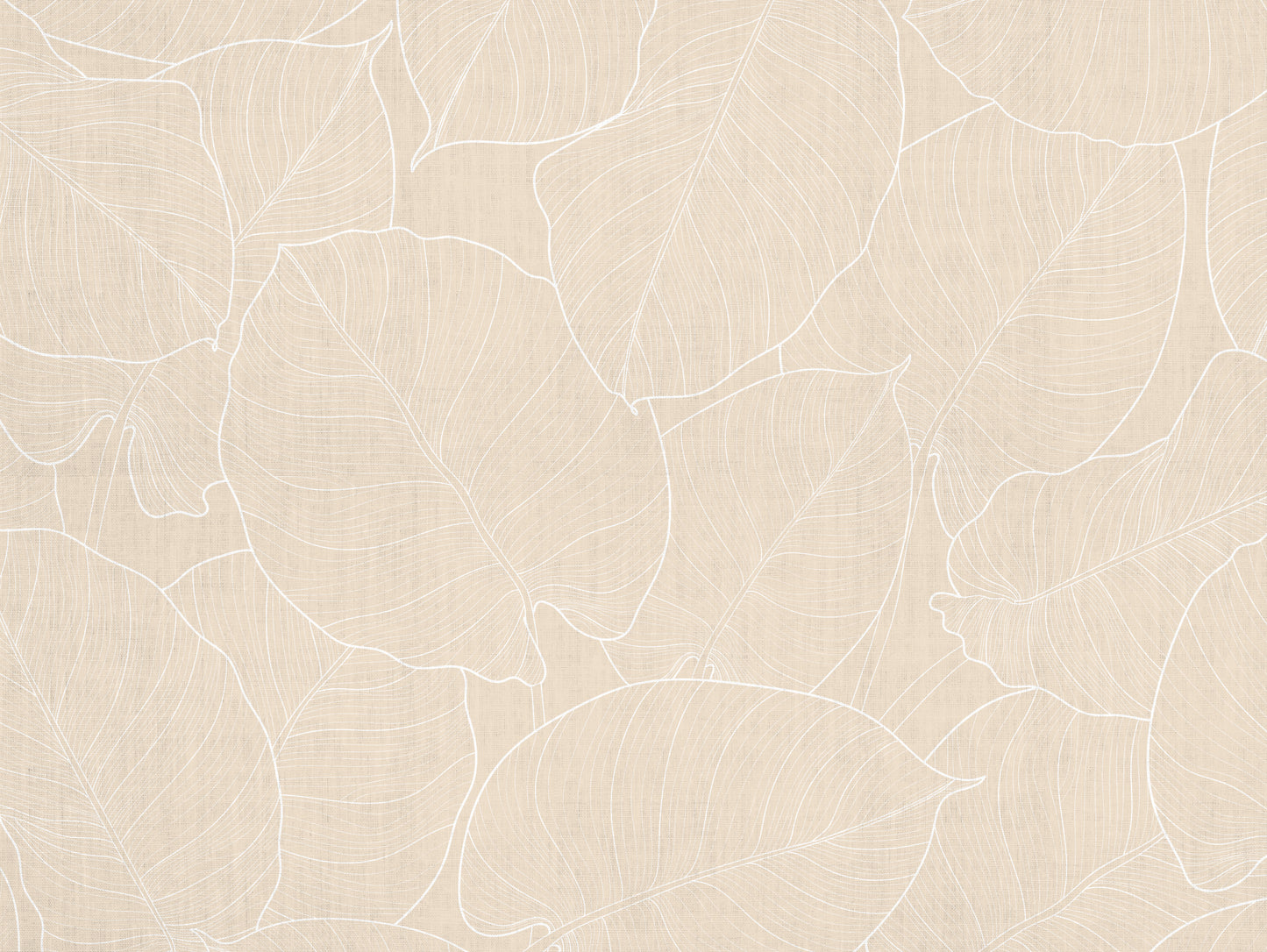 feuilles de sable