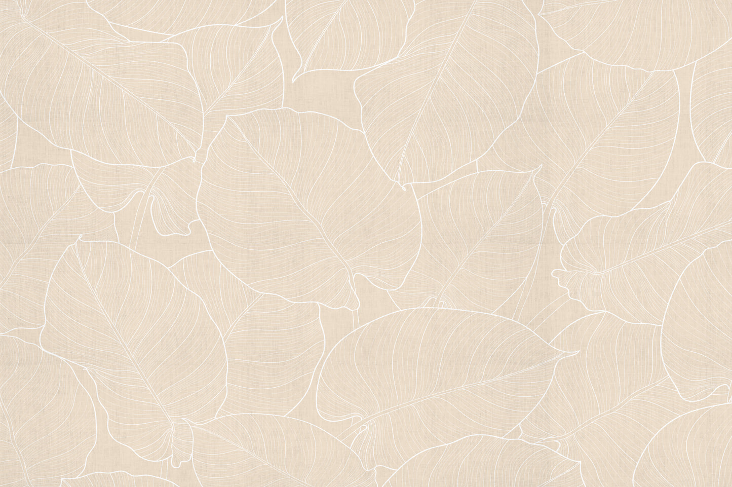 feuilles de sable