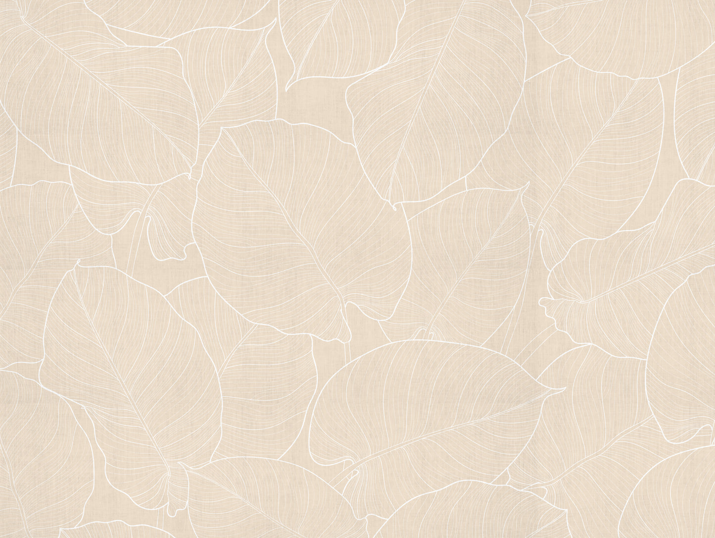 feuilles de sable