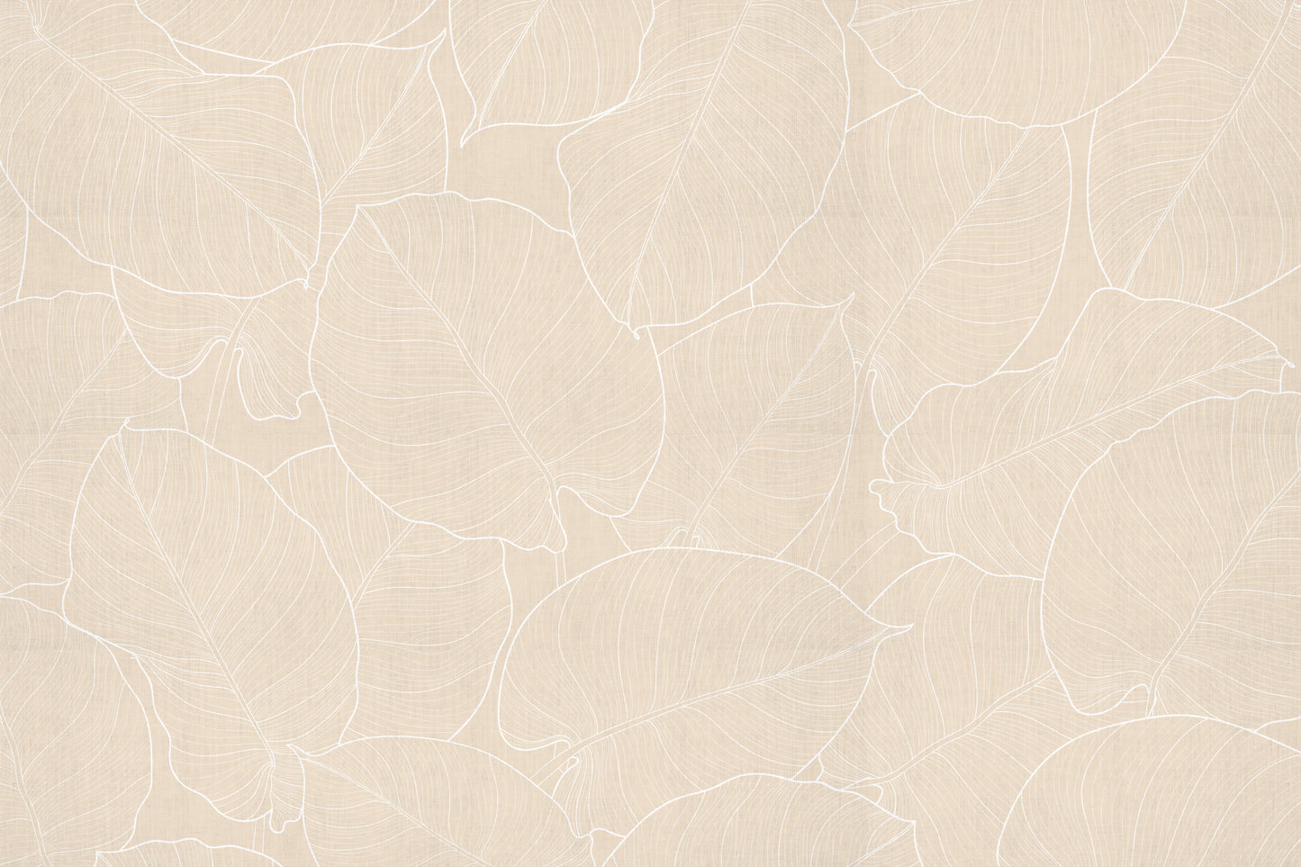 feuilles de sable