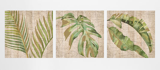 peinture vinyle Tríptico Exótico, 3 piezas de 60x60