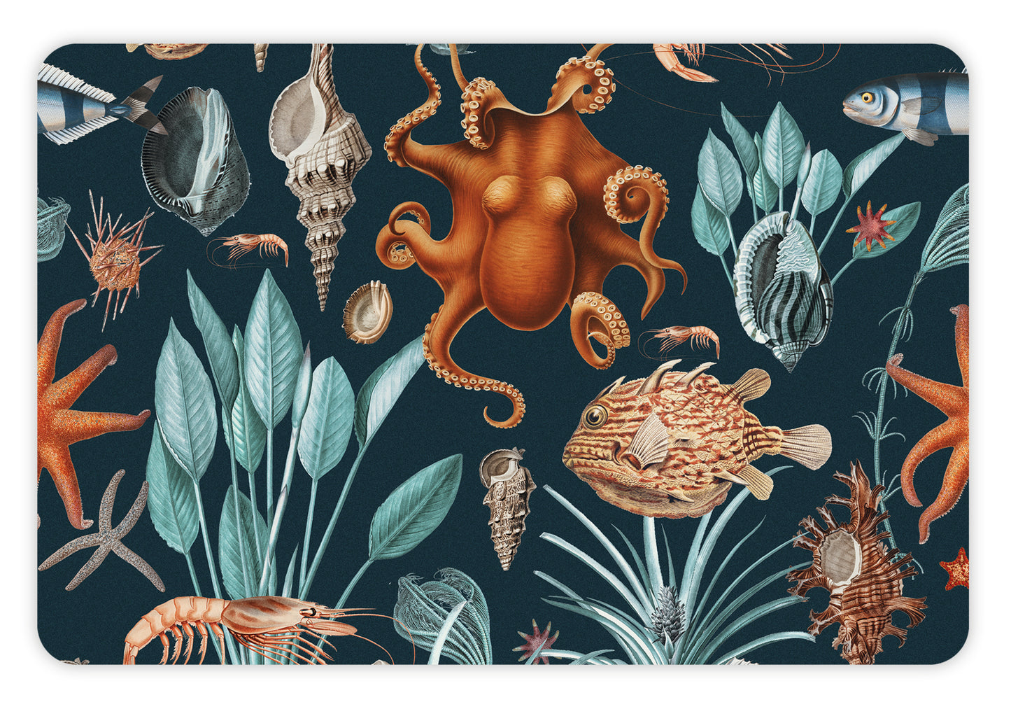 4 units of placemats Océano dark background
