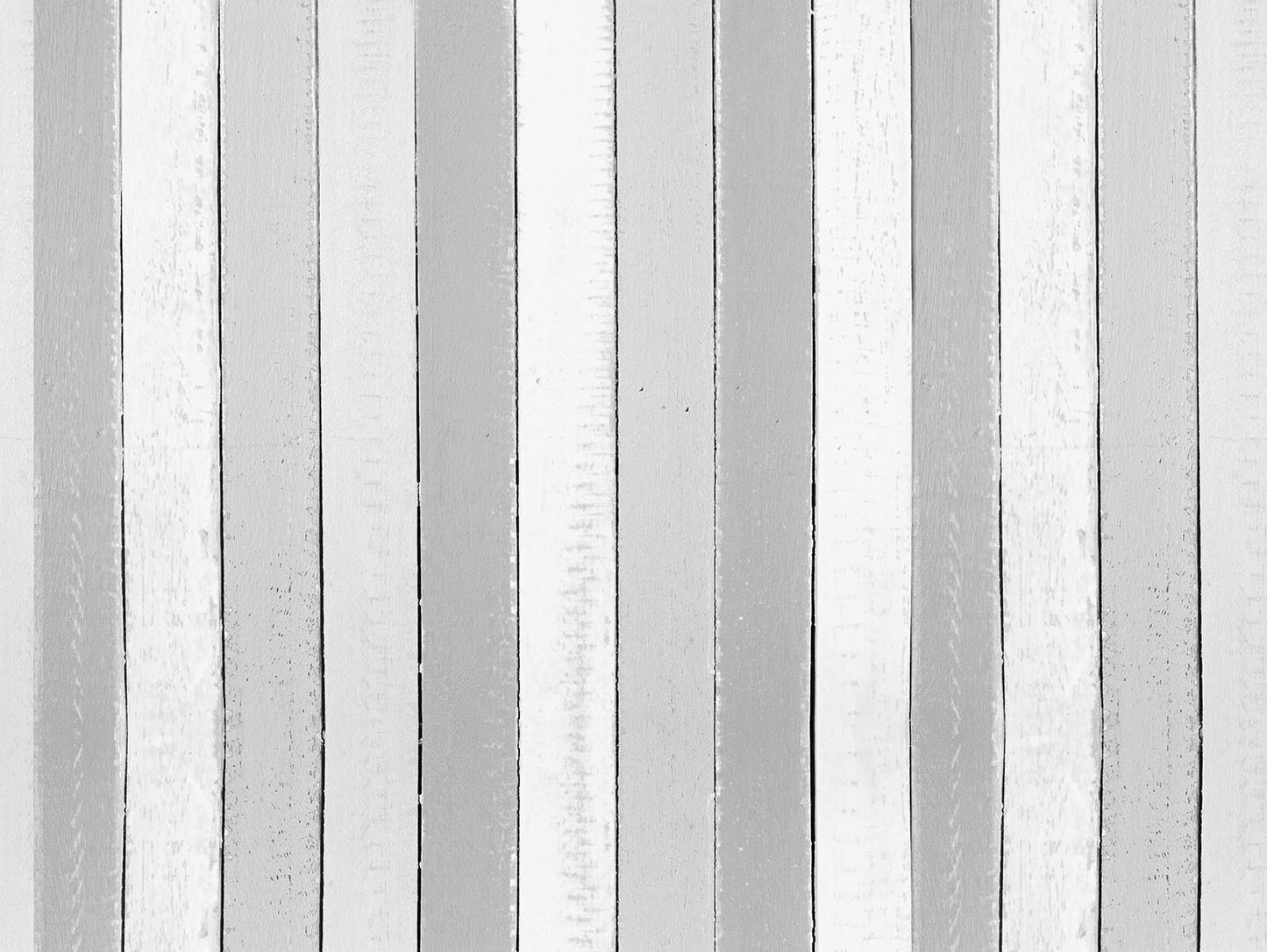 Surf Gris