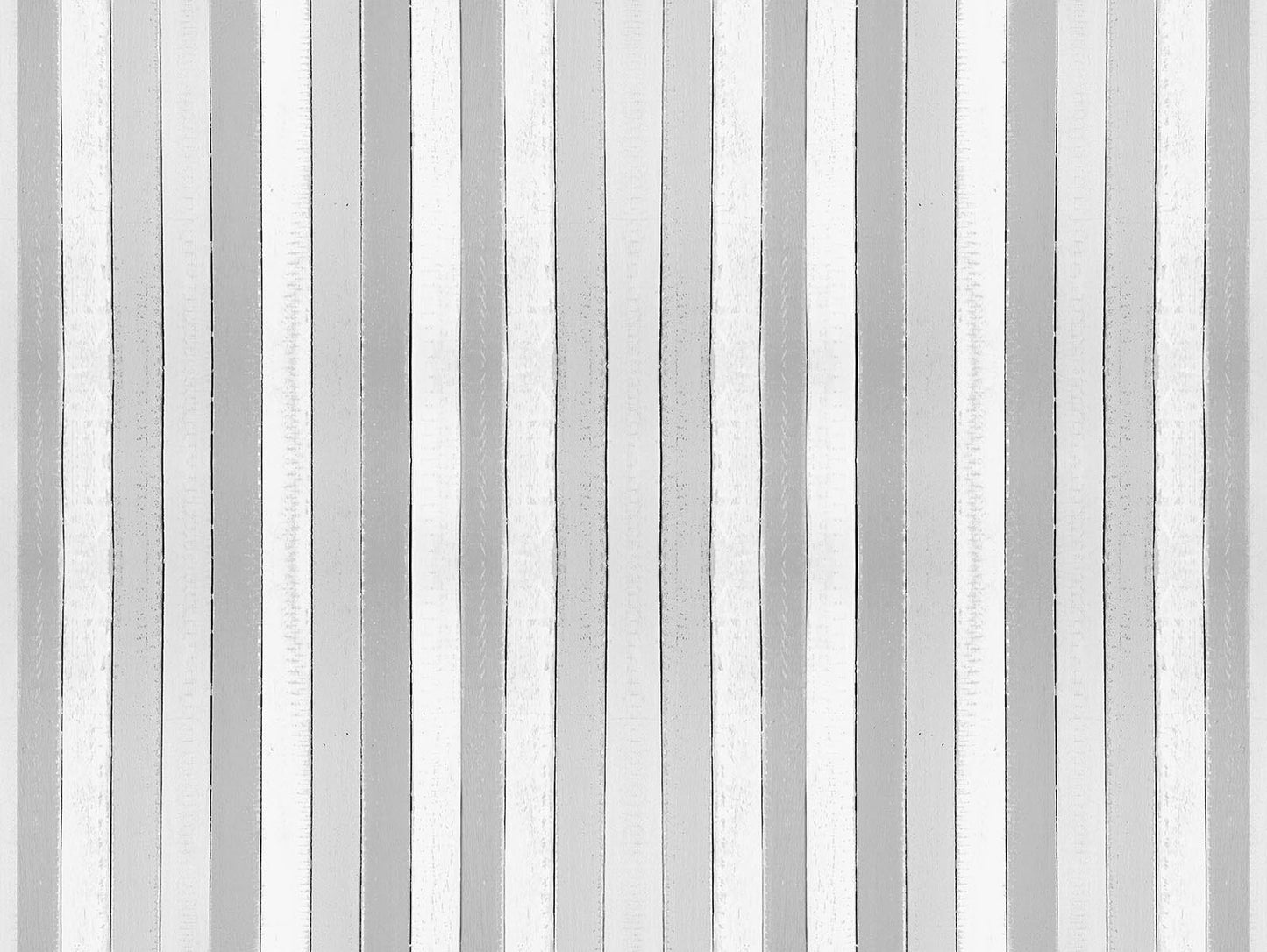 Surf Gris