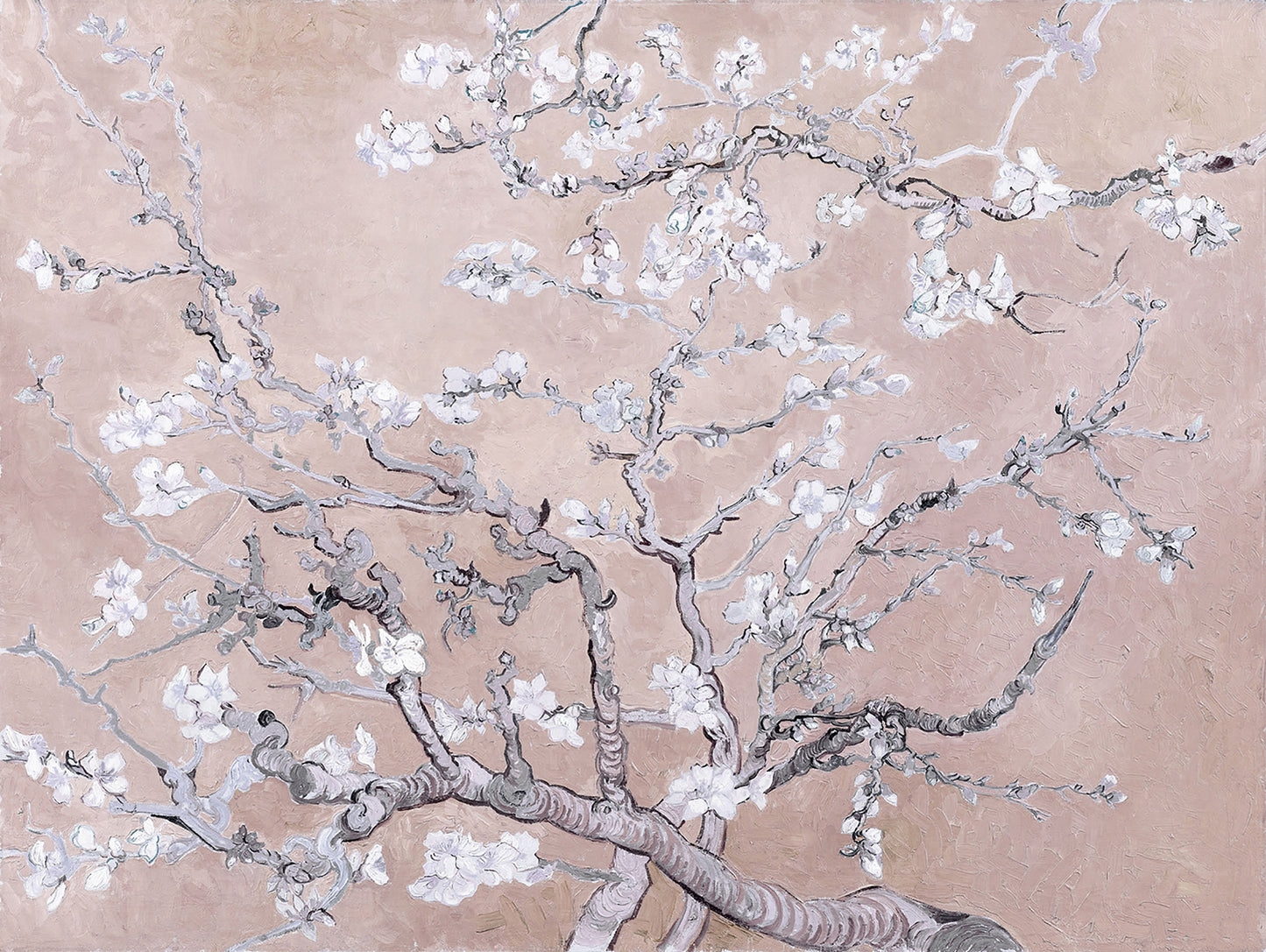Almendro rosa