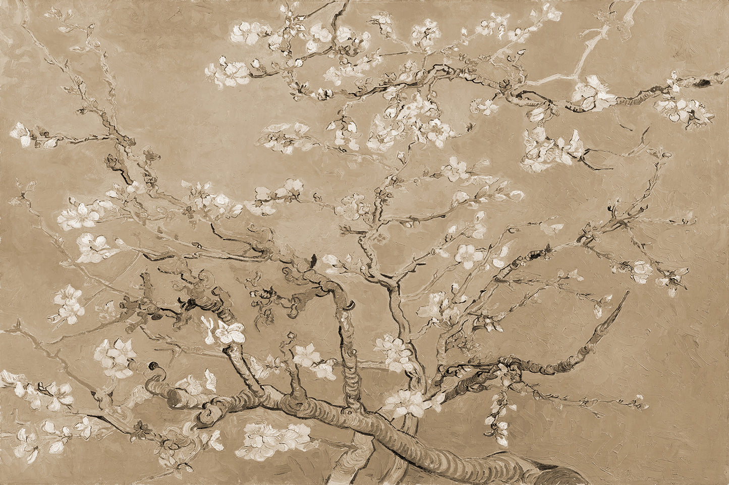 Almendro sepia
