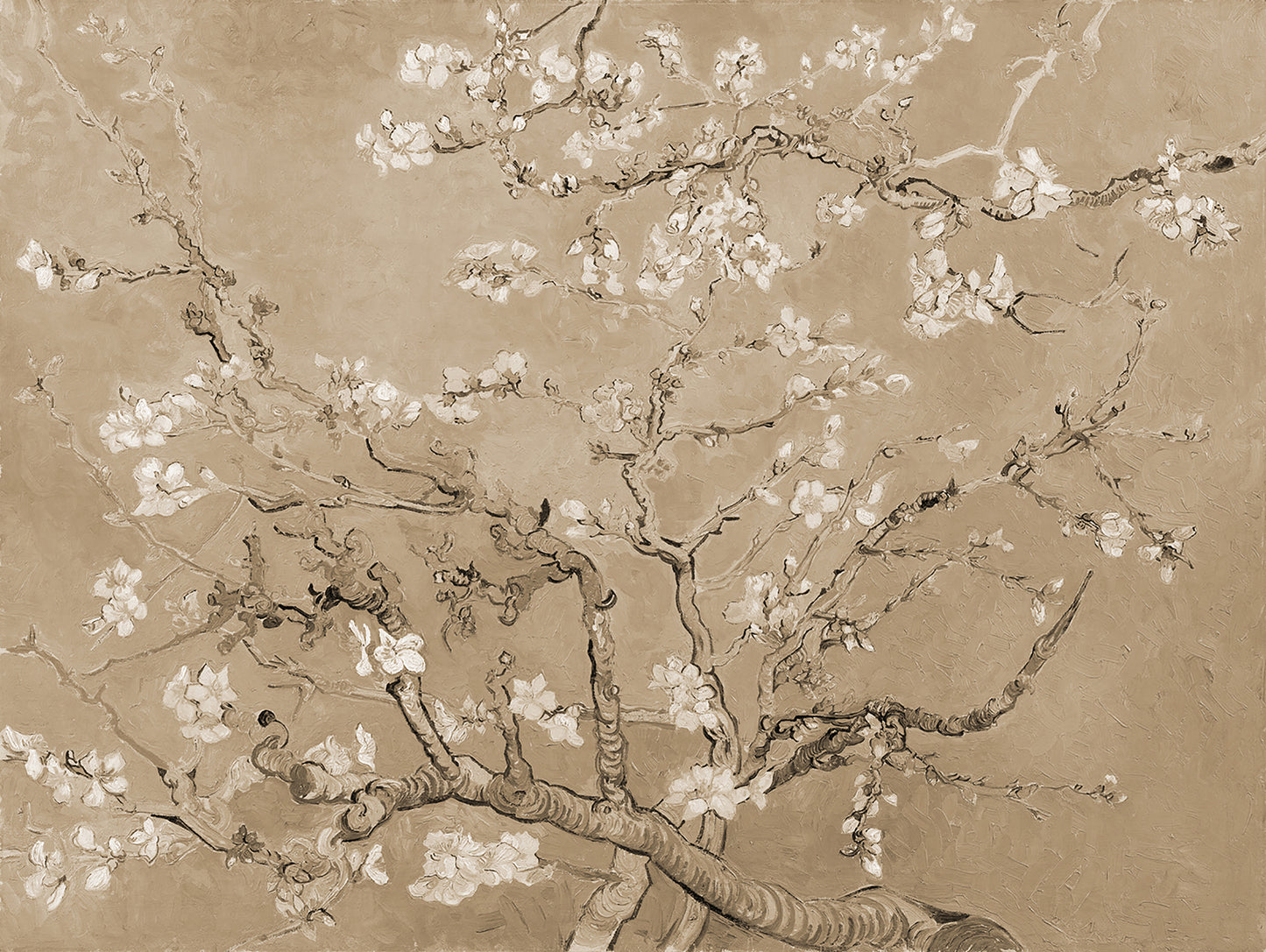 Almendro sepia