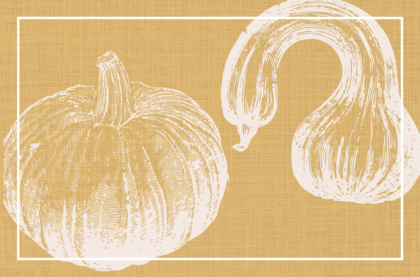 Orange pumpkins
