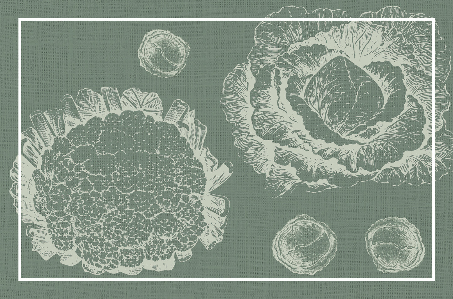 Green cabbages