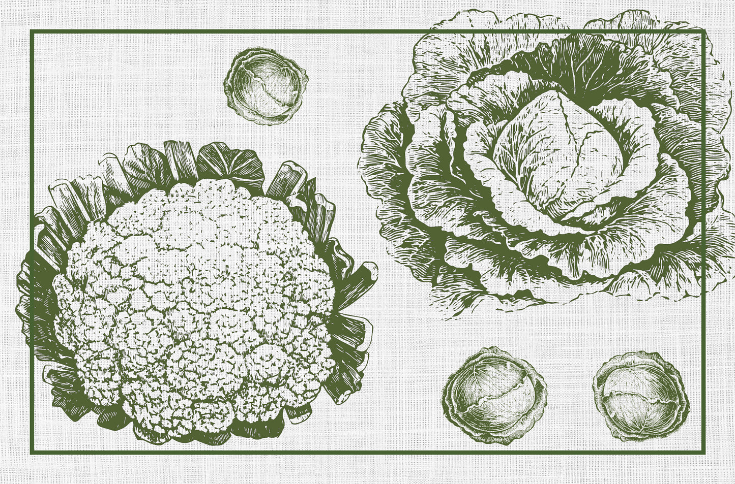 Cabbages