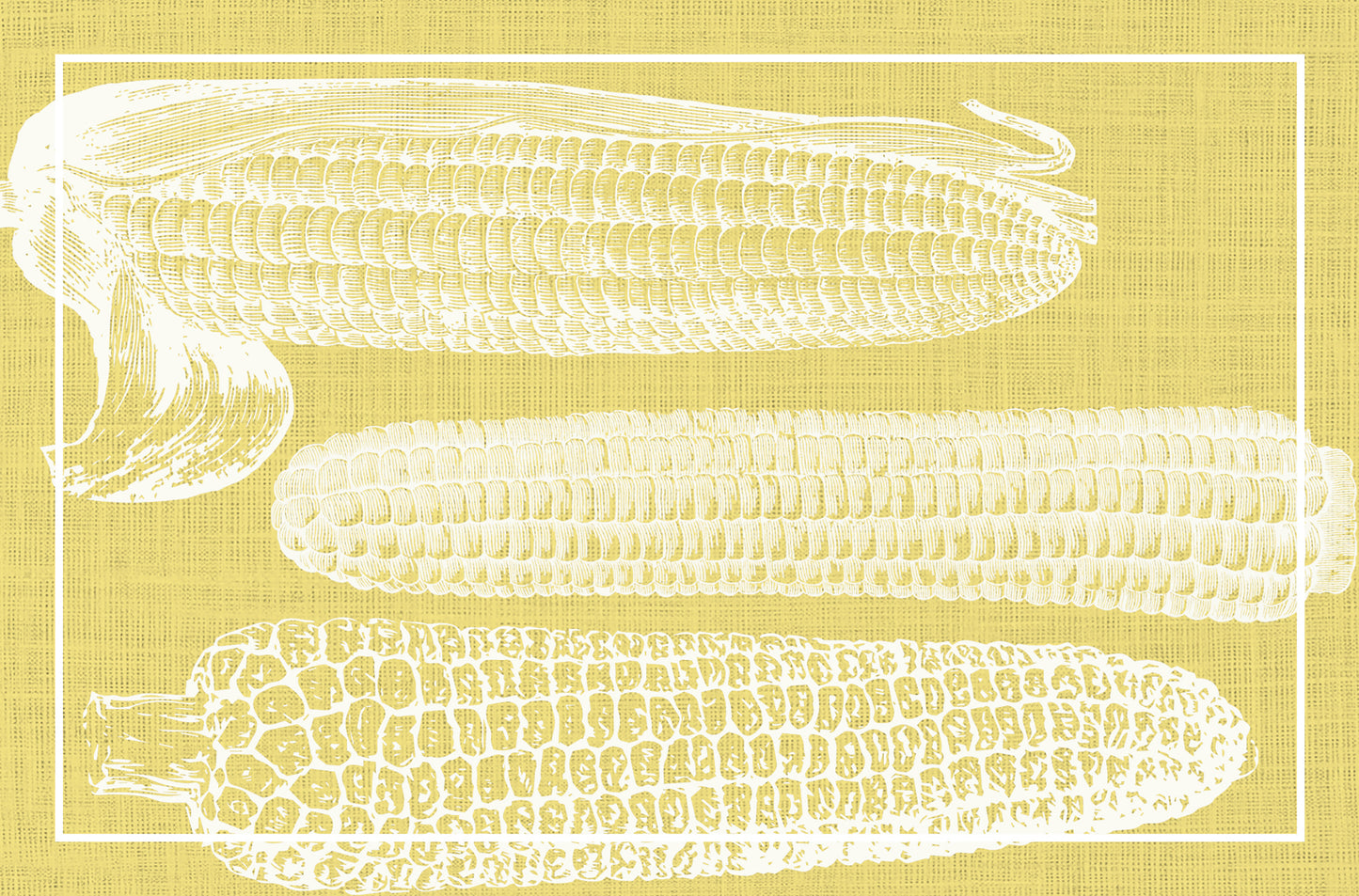 Yellow corn