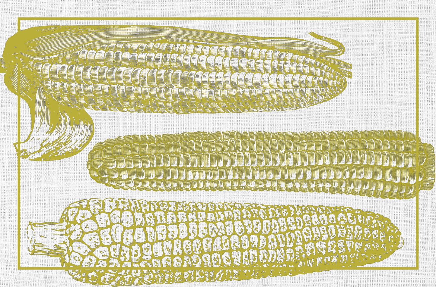 Corn