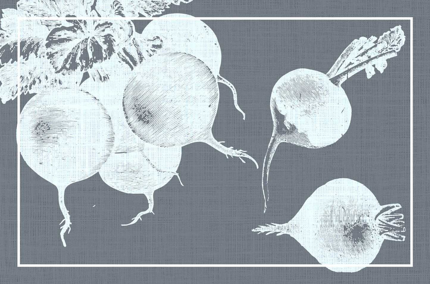 Blue radishes
