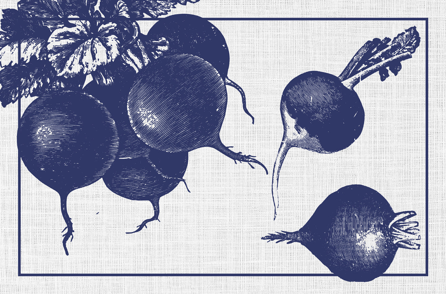 Radishes