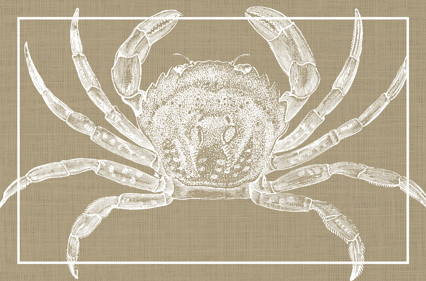 White crab