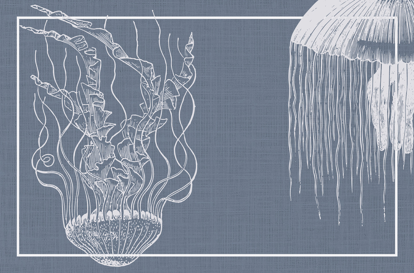 Blue jellyfish