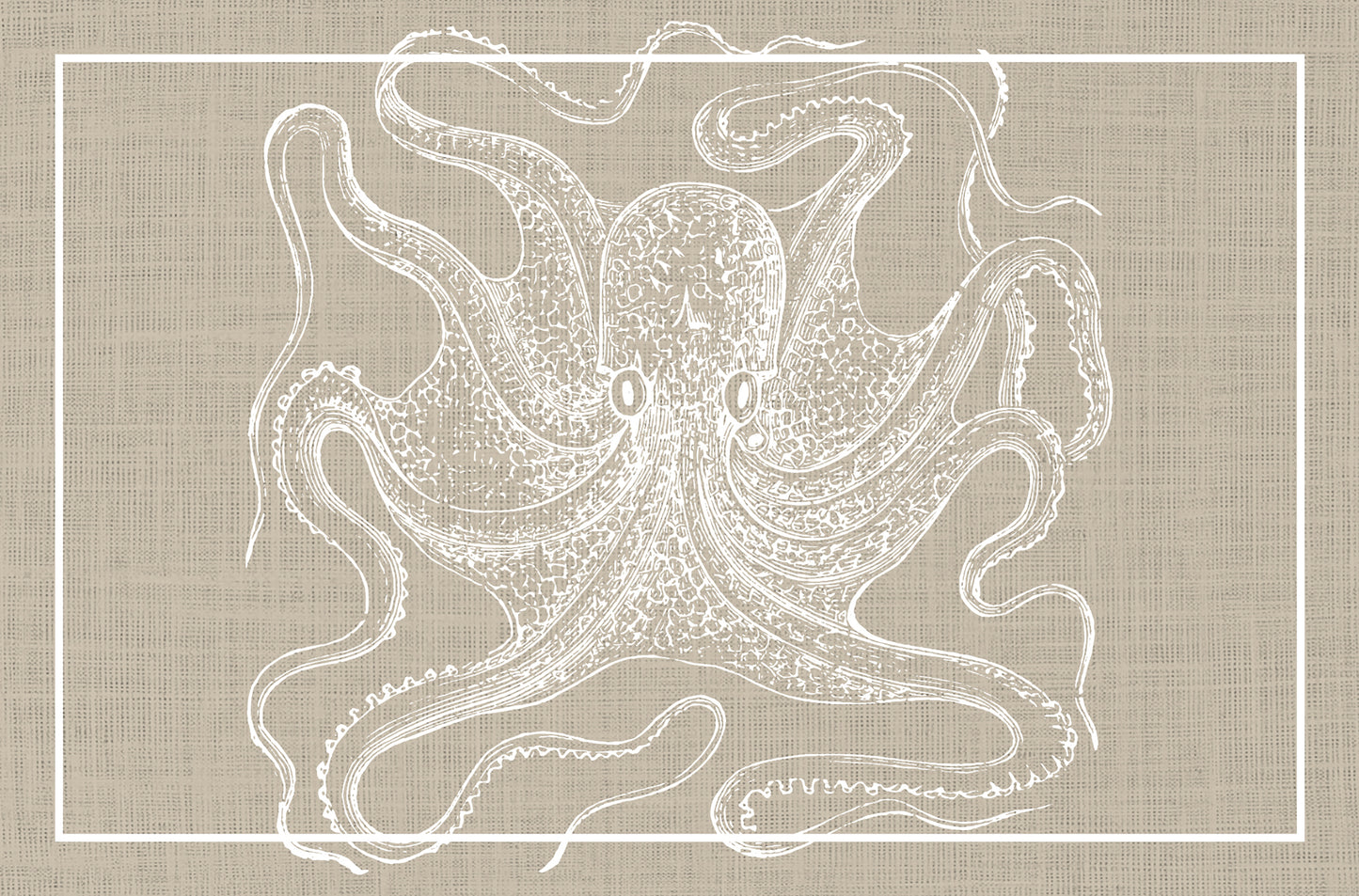 Octopus cuttlefish