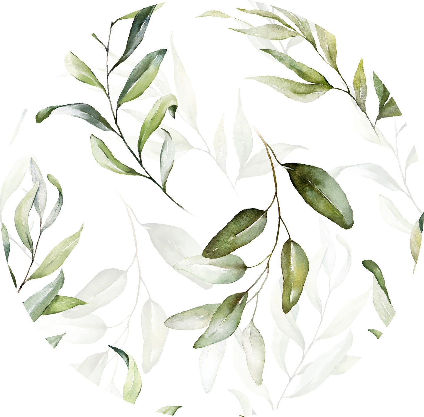 Mural Eucalyptus White Background
