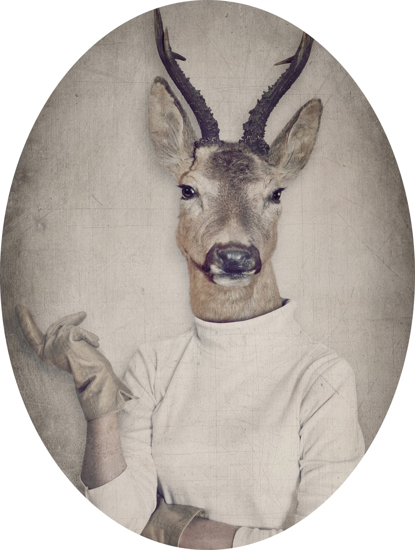Deer adhesive sticker