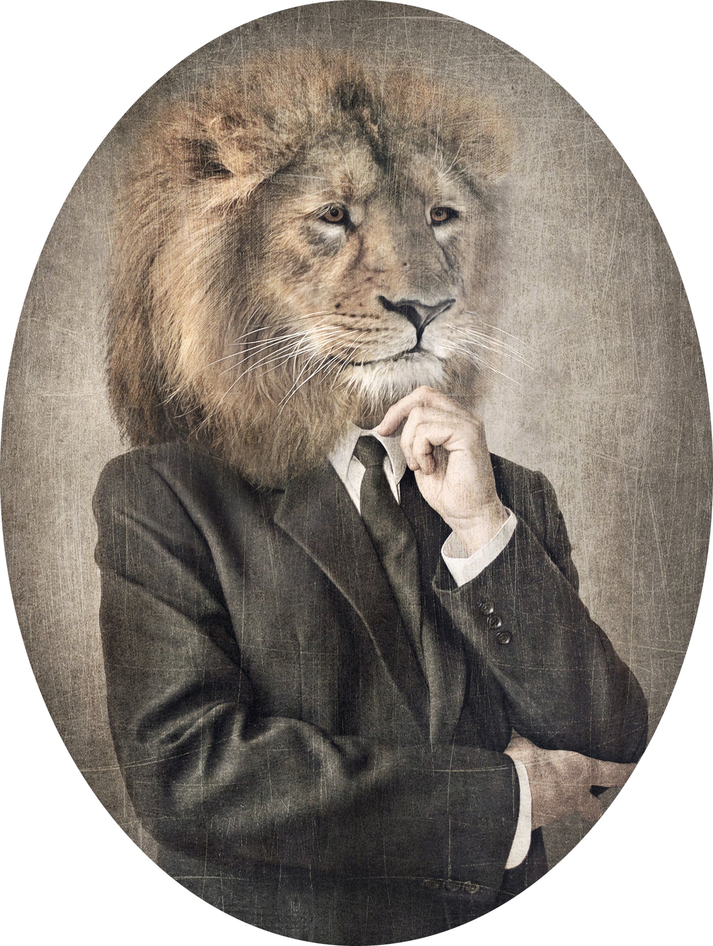 Lion adhesive sticker