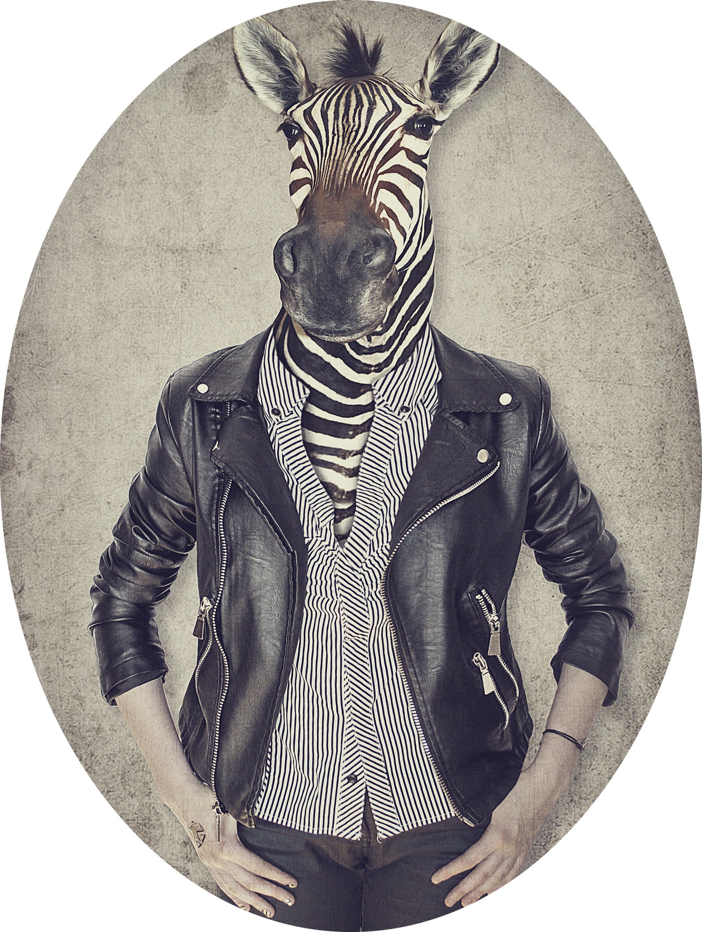 Zebra adhesive sticker