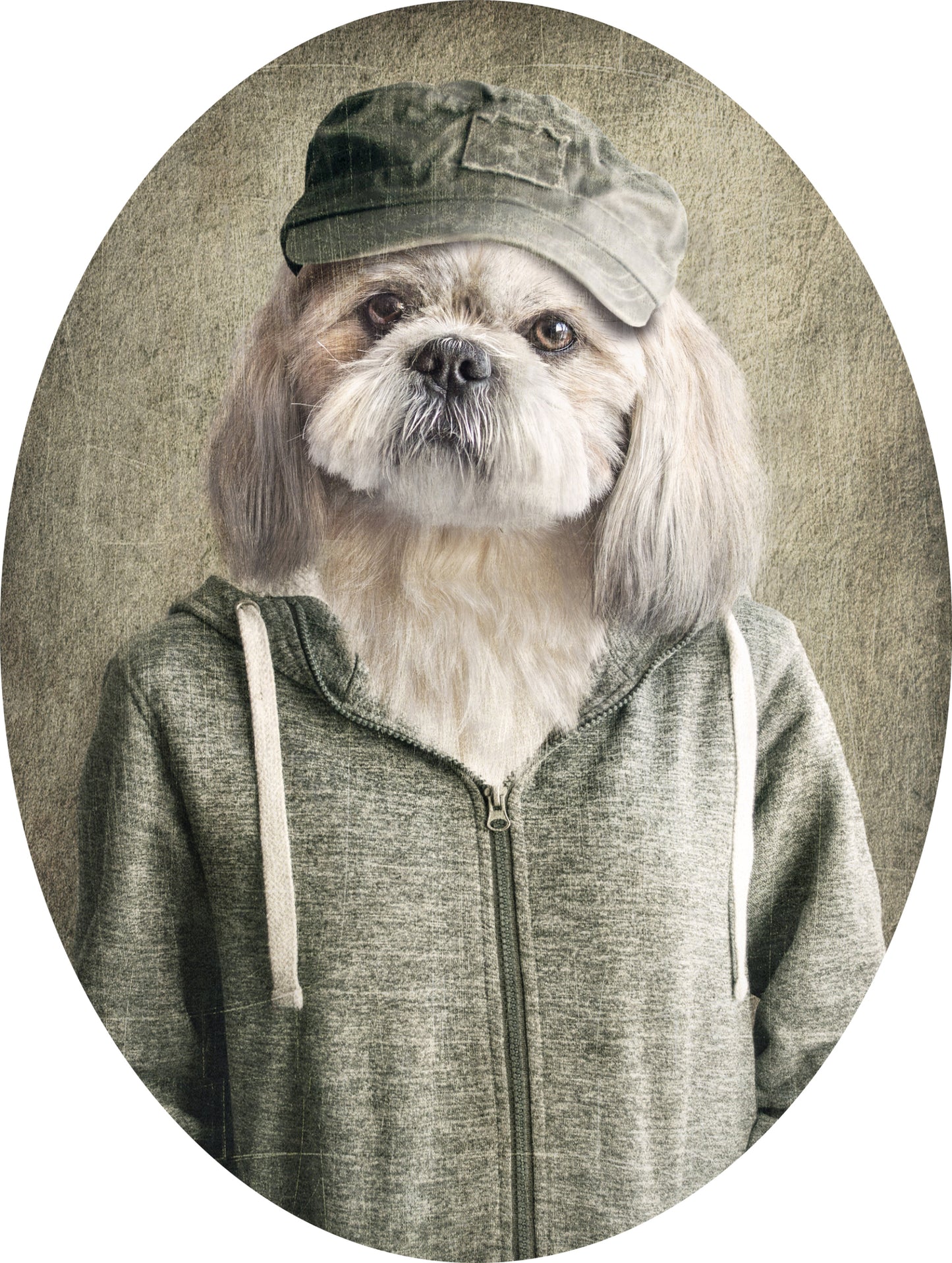 Dog adhesive sticker