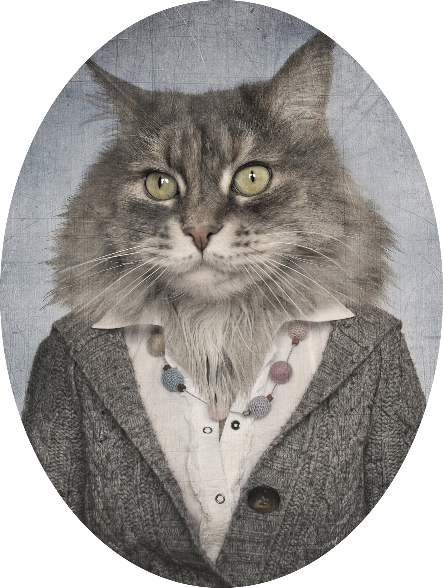 Cat adhesive sticker