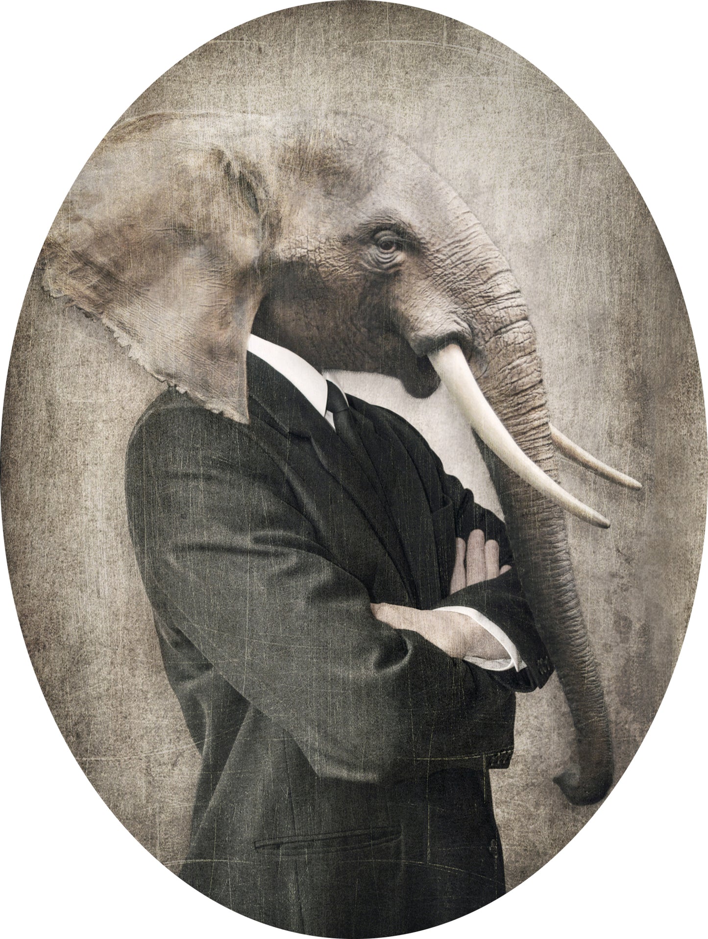 Elephant adhesive sticker