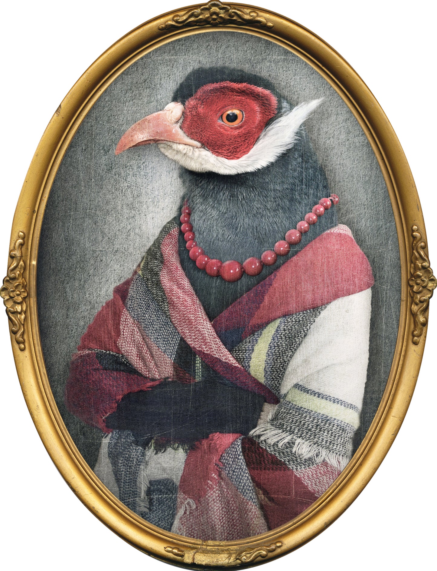 Turkey sticker with oval frame