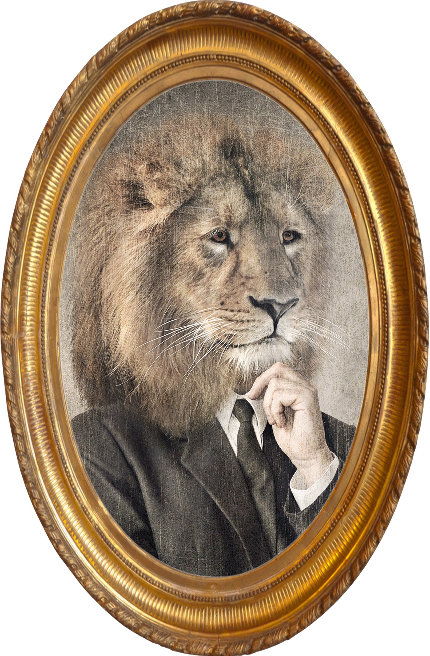 Lion sticker with frame