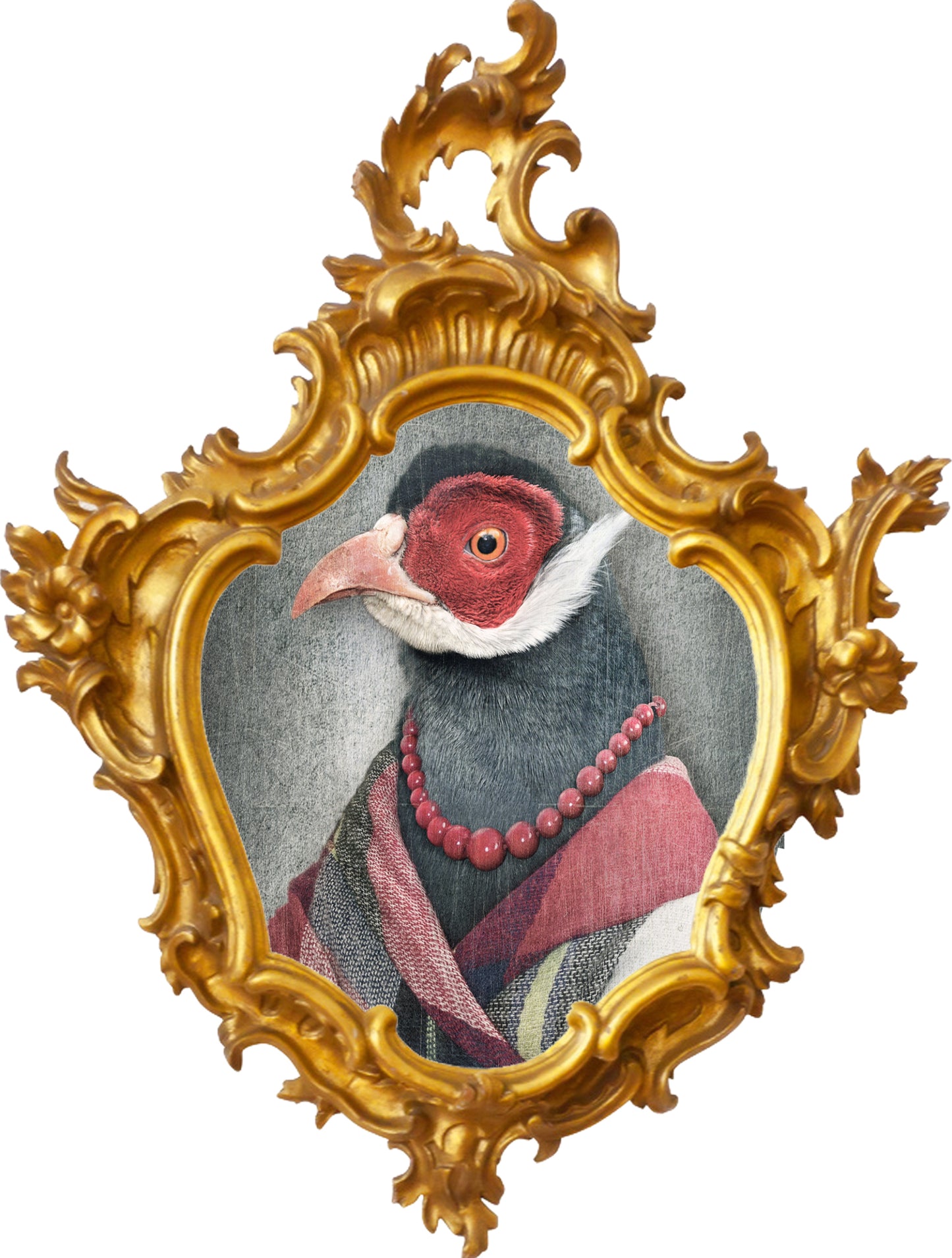 Turkey sticker with frame
