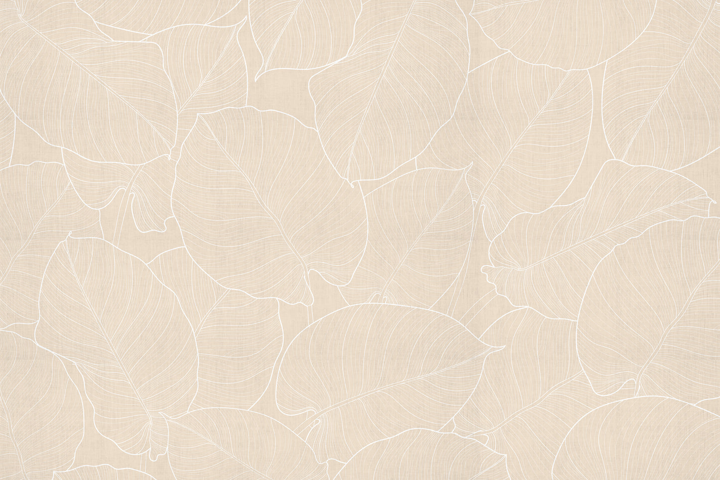 Sand leaves