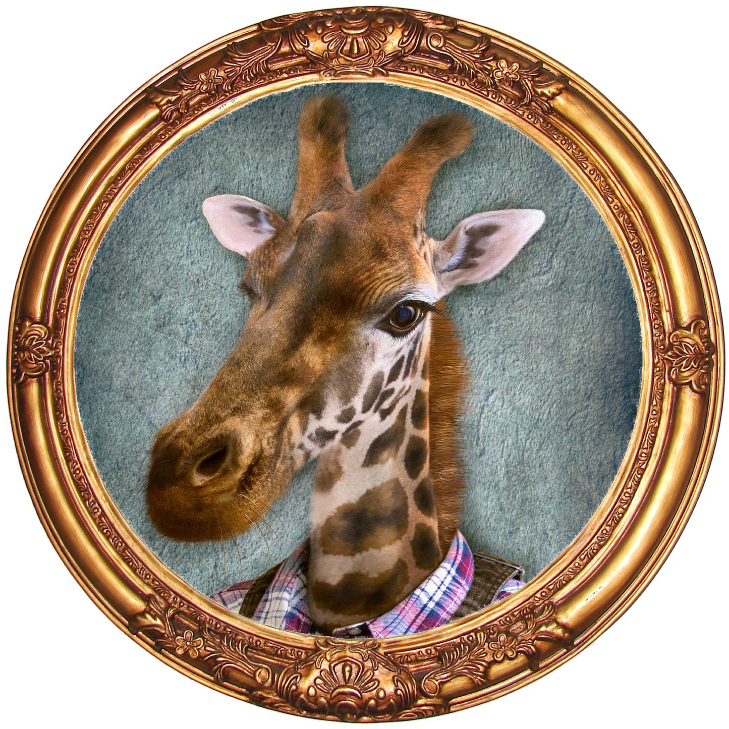 Murale circulaire girafe en couleur