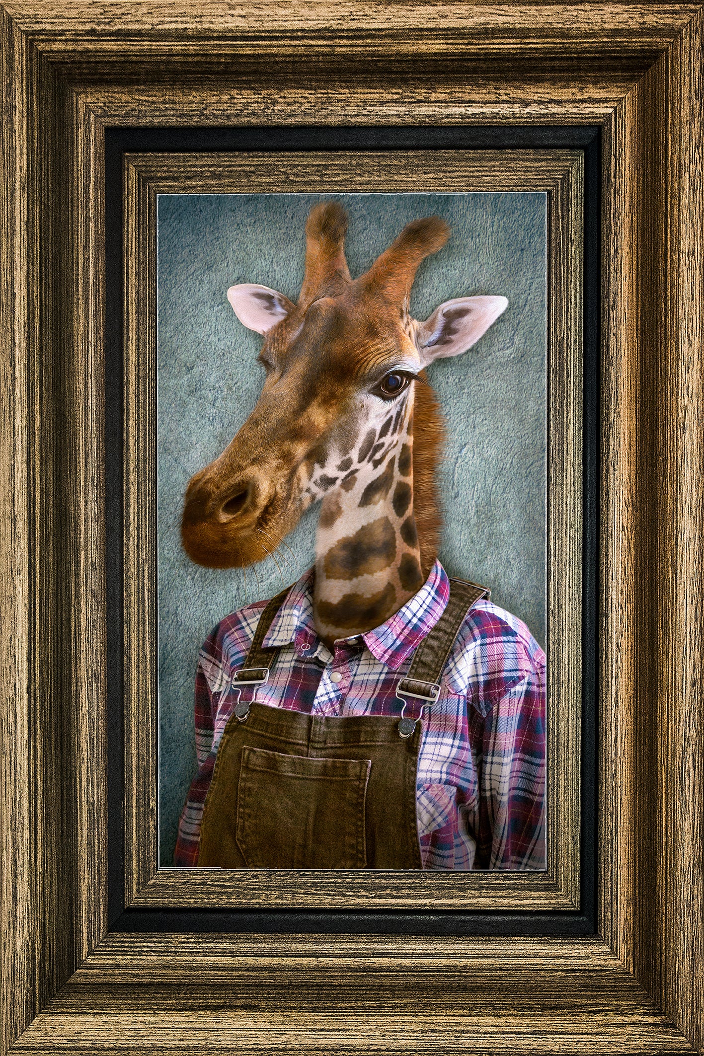 Mural Giraffe with rectangular frame