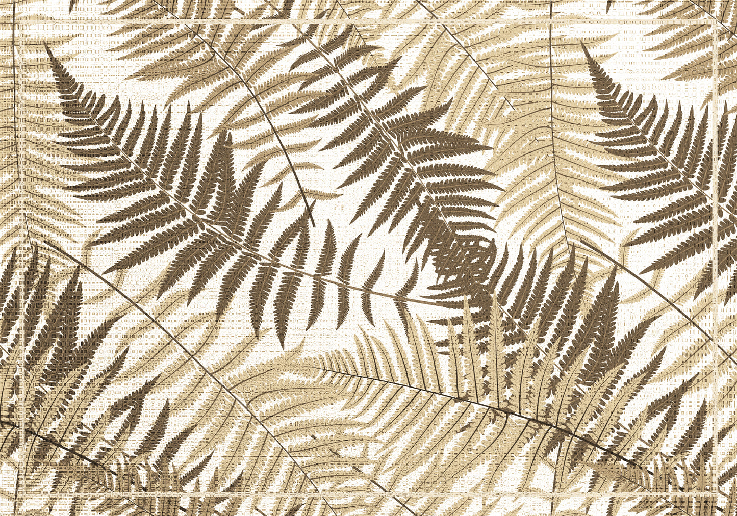 Sepia Ferns