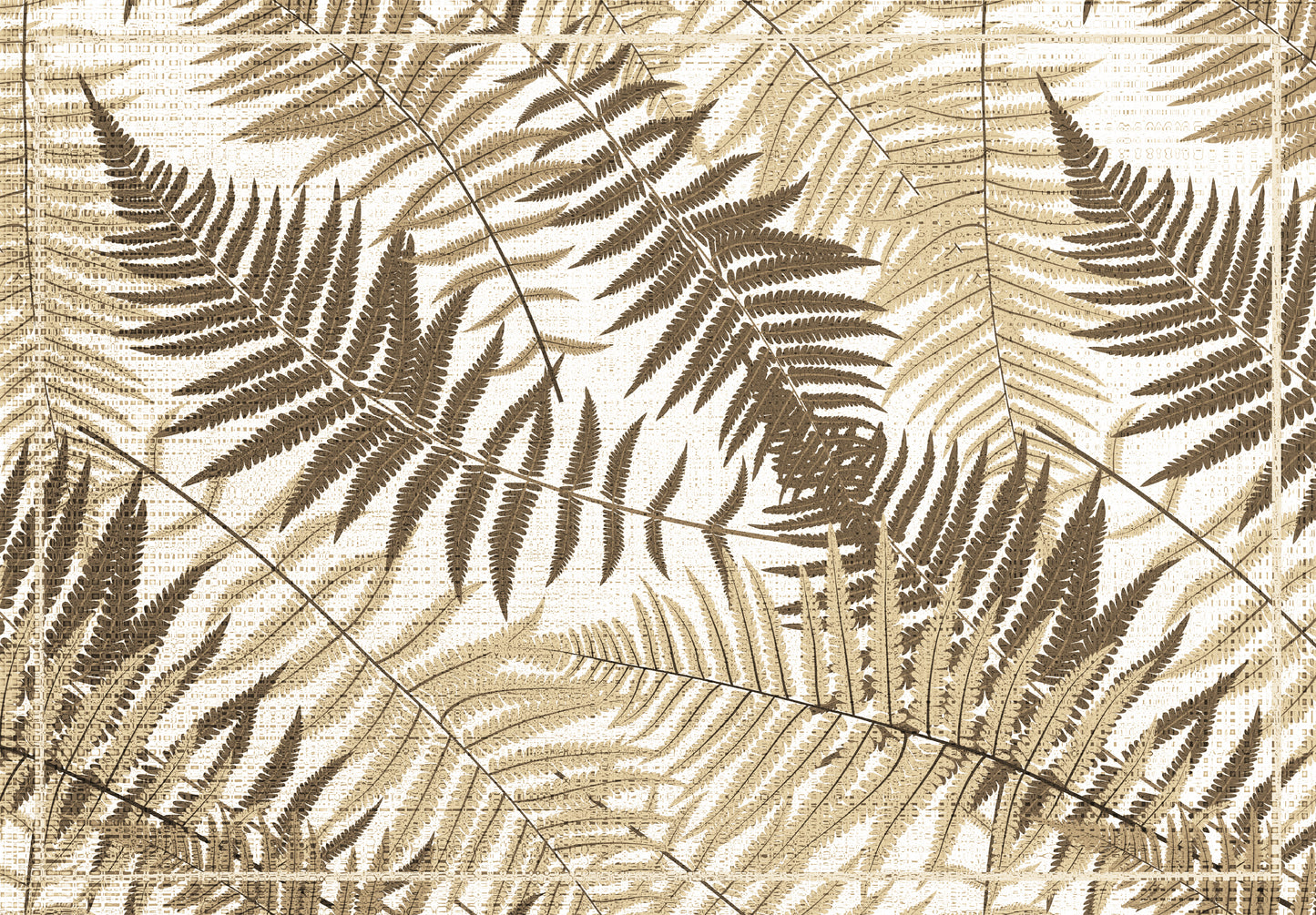 Sepia Ferns