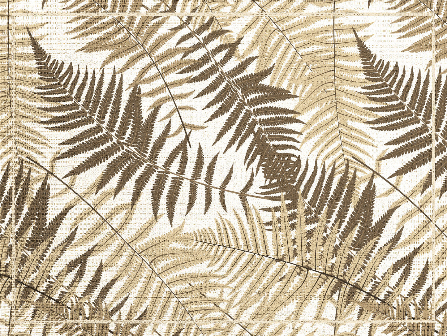Sepia Ferns