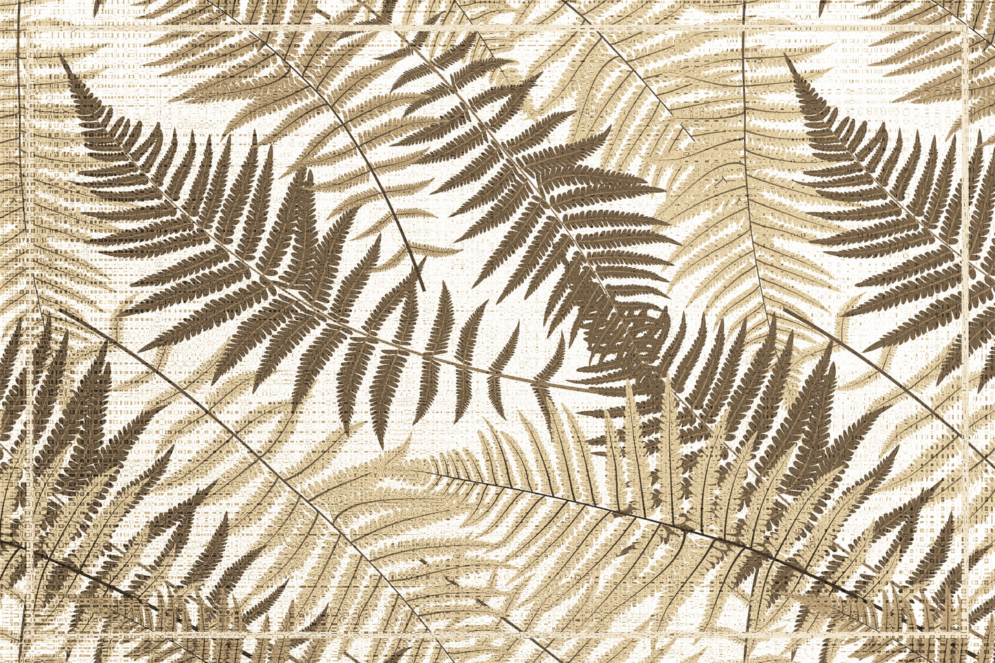 Sepia Ferns