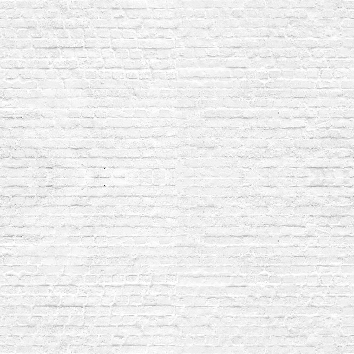 Muro de ladrillos