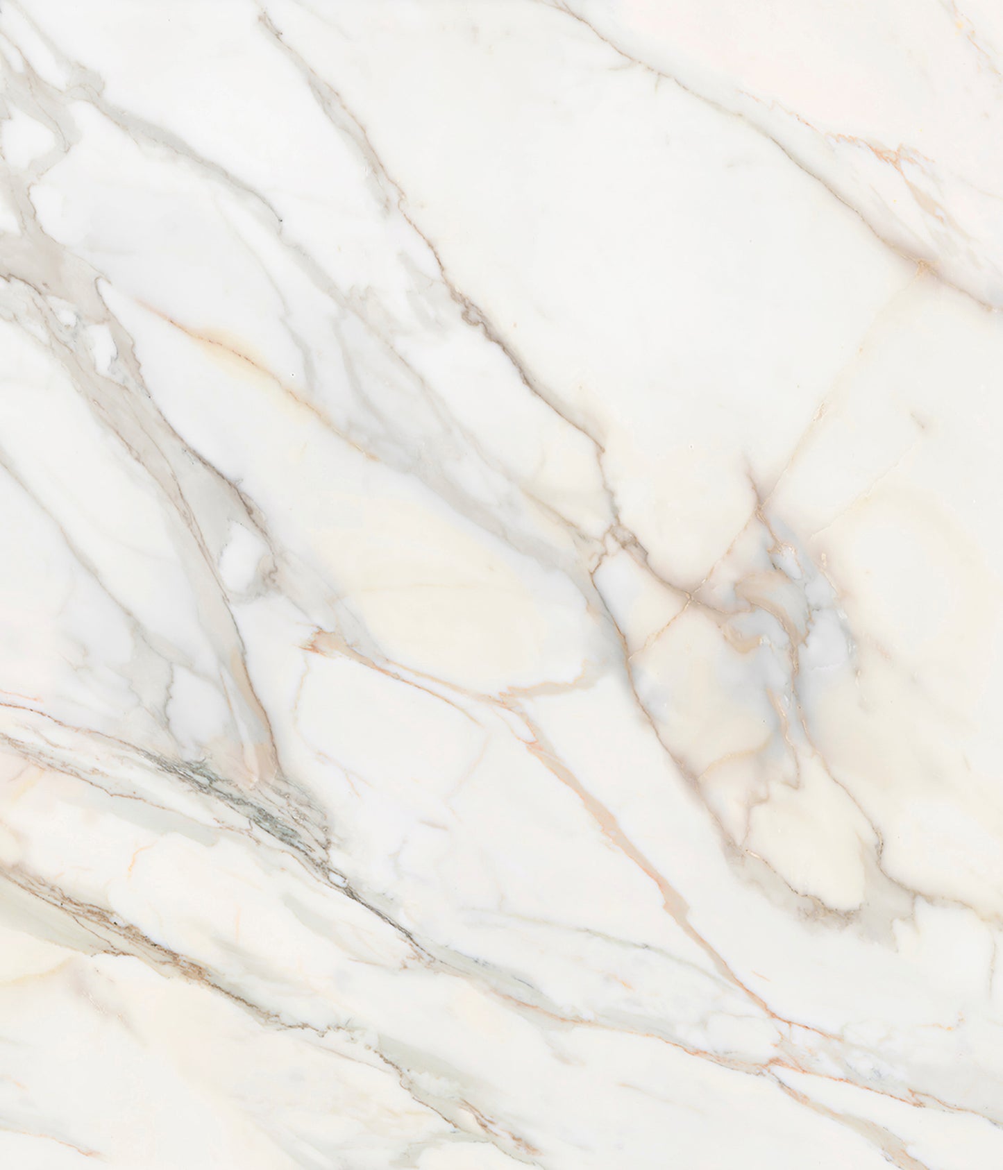 Calacatta Gold Dashboard