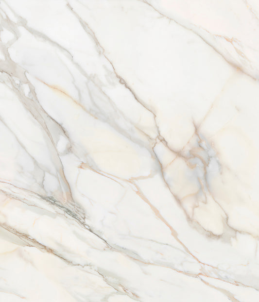 Crédence Calacata Gold