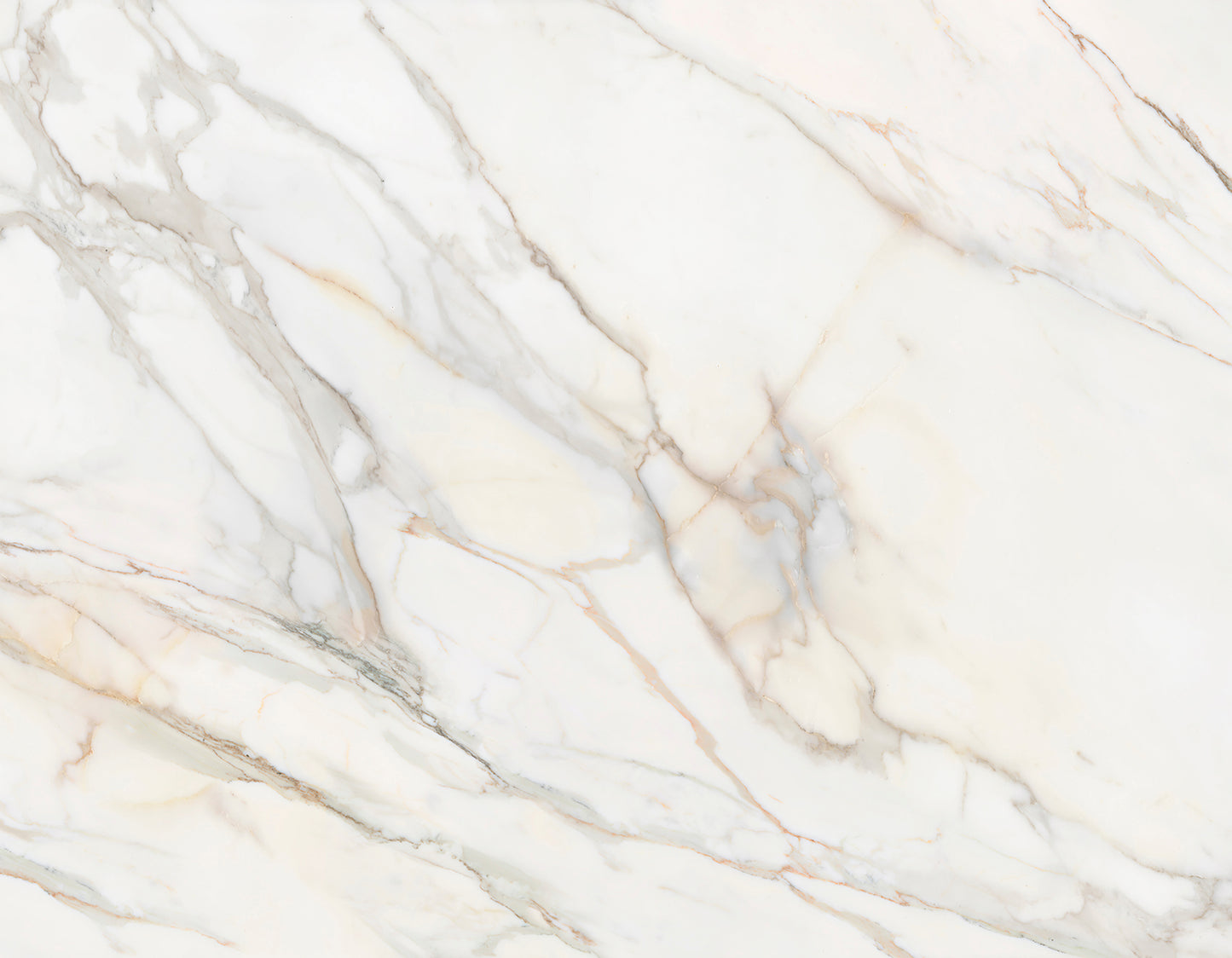 Calacatta Gold Dashboard